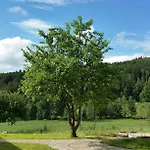 Rhoen-hotel Sonnenhof - Hotel Poppenhausen