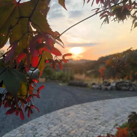 Rhoen-hotel Sonnenhof - 酒店 4*