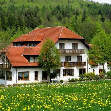 Hotel Rhön-hotel Sonnenhof - Restaurant&café 4*