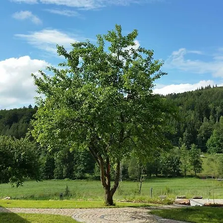 Rhoen-hotel Sonnenhof - Restaurant & Cafe Hotel Poppenhausen