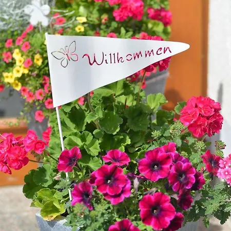 Hotell Rhoen-hotel Sonnenhof - Poppenhausen