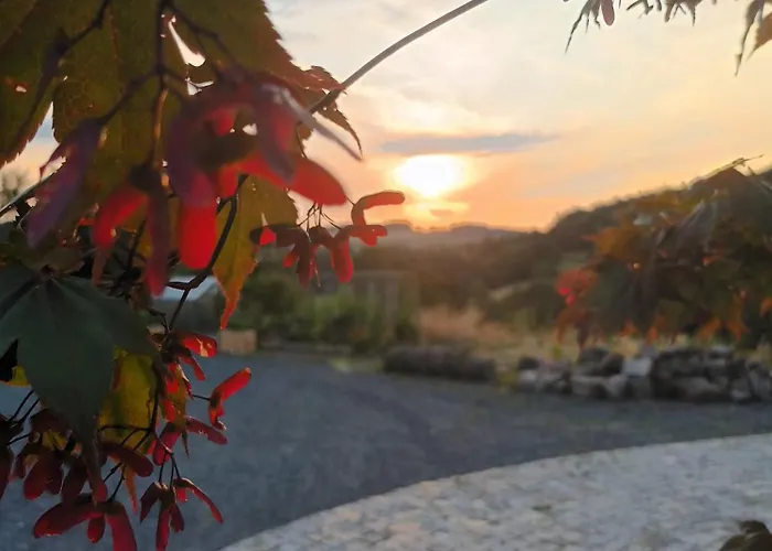 Rhoen-hotel Sonnenhof - 酒店 4*