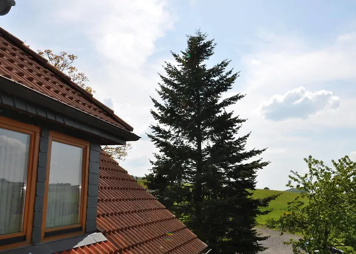 酒店 Rhoen-hotel Sonnenhof - 4*