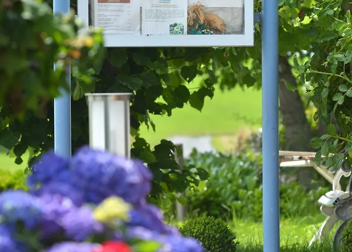 Rhoen-hotel Sonnenhof - 酒店